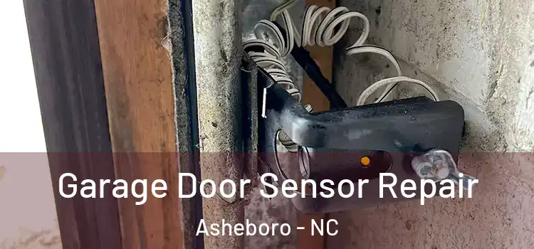 Garage Door Sensor Repair Asheboro - NC