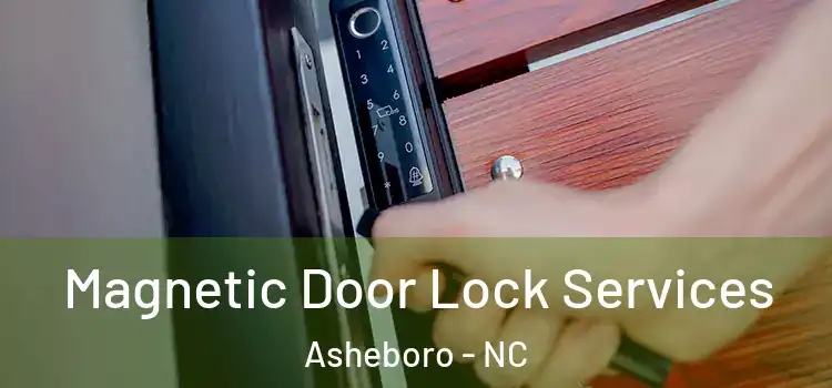 Magnetic Door Lock Services Asheboro - NC